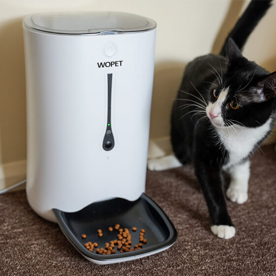 Pet15